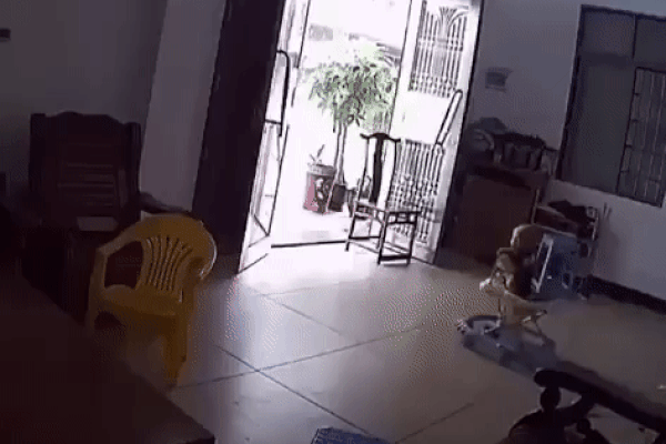 Chơi đùa cùng em đang ngồi trên xe đẩy, bé gái vô tình có hành động khiến em rơi vào tình huống nguy hiểm-2