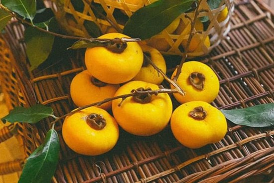 Thơm lừng hương cổ tích, Hà Thành lùng mua loại quả vàng ươm