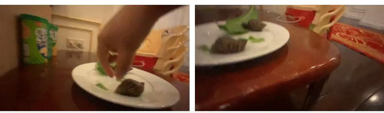 Tỷ phú nhỏ tuổi nhất Việt Nam đăng video để lộ phòng ngủ sang chảnh, nuôi con vật kỳ lạ và được khen bởi một hành động cực nhân đạo-2