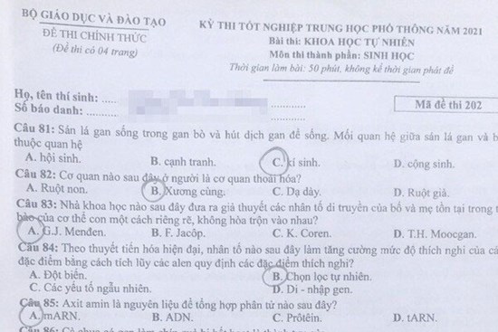 Đề thi và đáp án đề thi môn Sinh tốt nghiệp THPT 2021 tất cả các mã đề