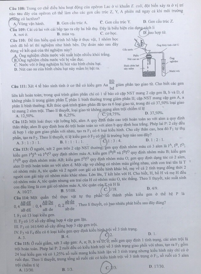 Đề thi và đáp án đề thi môn Sinh tốt nghiệp THPT 2021 tất cả các mã đề-3