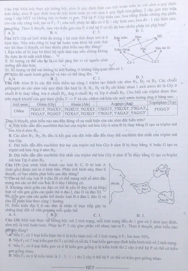 Đề thi và đáp án đề thi môn Sinh tốt nghiệp THPT 2021 tất cả các mã đề-4