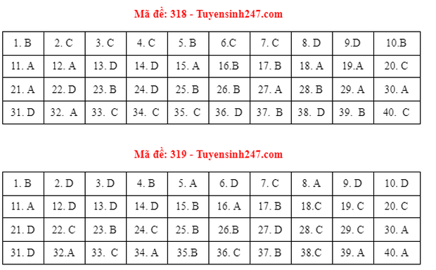 Đáp án đề thi môn Lịch sử tốt nghiệp THPT 2021 tất cả các mã đề-4