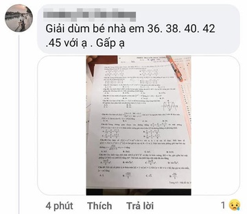 Đình chỉ thí sinh liên quan vụ đăng đề Toán lên mạng nhờ giải hộ-1