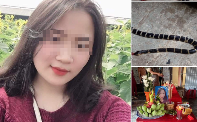 Đang nằm ngủ, cô gái bị rắn độc trốn trong chăn cắn tử vong-1