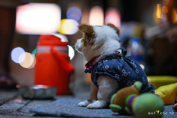 Chùm ảnh cảm xúc nhất lúc này: Thương lắm những người vô gia cư, nhưng Sài Gòn ơi, sẽ giãn cách mà không xa cách!-9