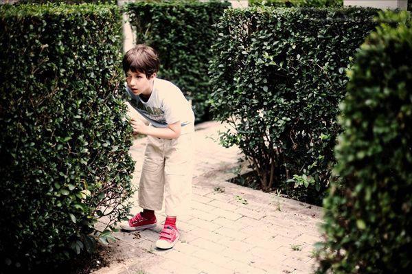 Trẻ khi còn nhỏ đã có 8 đặc điểm này, lớn lên chắc chắn IQ sẽ rất cao-4