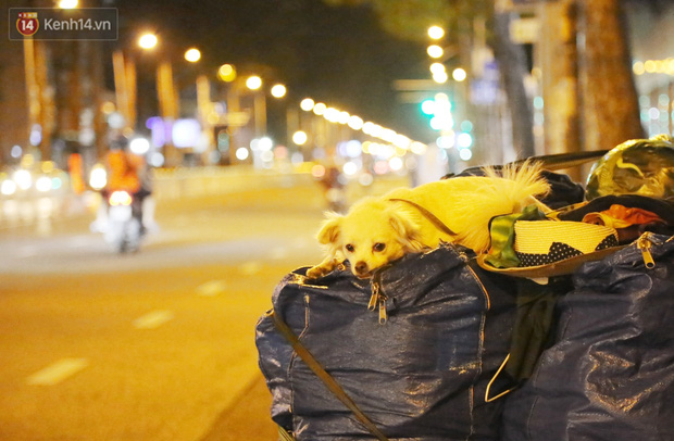 Chuỗi ngày sống thật chậm ở Sài Gòn: Nghỉ mệt 15 ngày rồi sẽ khỏe lại, mọi người ráng đợi tý nghen!-2