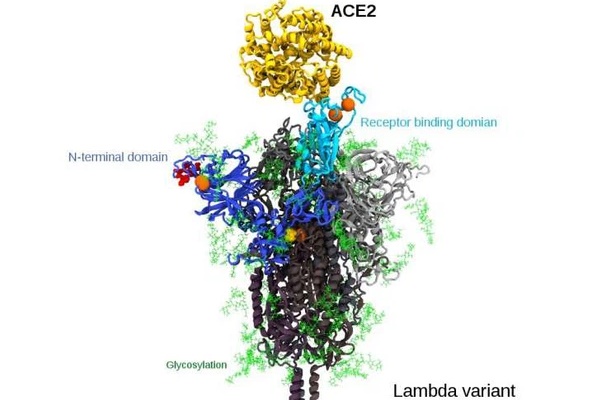 Thêm một biến thể Covid-19 đang lây lan nhanh: Lambda đã có mặt ở 31 quốc gia-2
