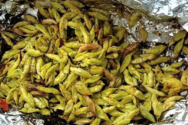 Gia vị vạn năng từ xứ Lạng, bà nội trợ đua nhau đặt mua dùng dần-4