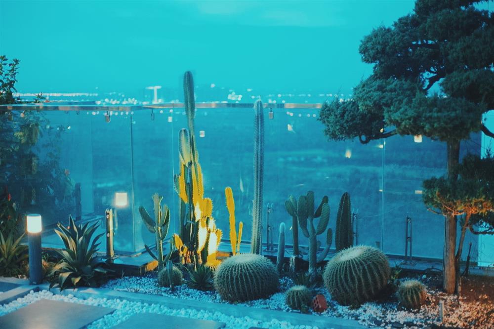 Hồ sen với đủ loại hoa hiếm trên penthouse 300m² của chồng dành tặng vợ ở Hà Nội-11