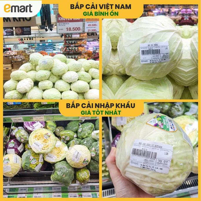 Thực hư siêu thị bán bắp cải 250.000 đồng/kg trong mùa dịch-1