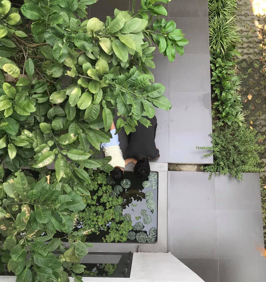 Ngẩn ngơ trước khu vườn bí mật trong ngôi nhà màu trắng ở Hải Phòng-10