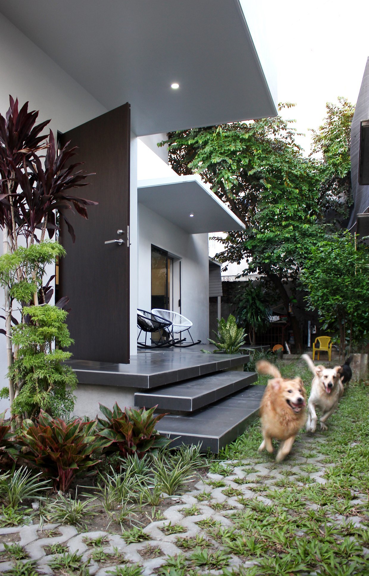 Ngẩn ngơ trước khu vườn bí mật trong ngôi nhà màu trắng ở Hải Phòng-13