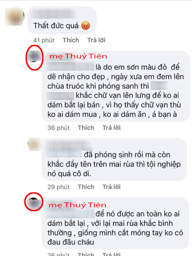 Tên Thuỷ Tiên và Công Vinh được khắc lên mai rùa phóng sinh, cư dân mạng chỉ trích vì hành động gây nguy hiểm tới loài vật này-3