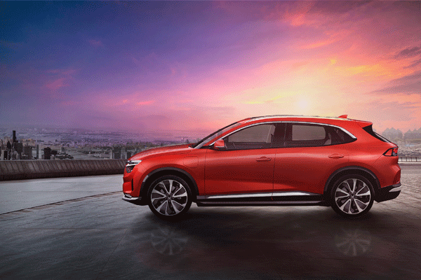 VinFast mở cửa 5 chi nhánh ở Bắc Mỹ và châu Âu-2