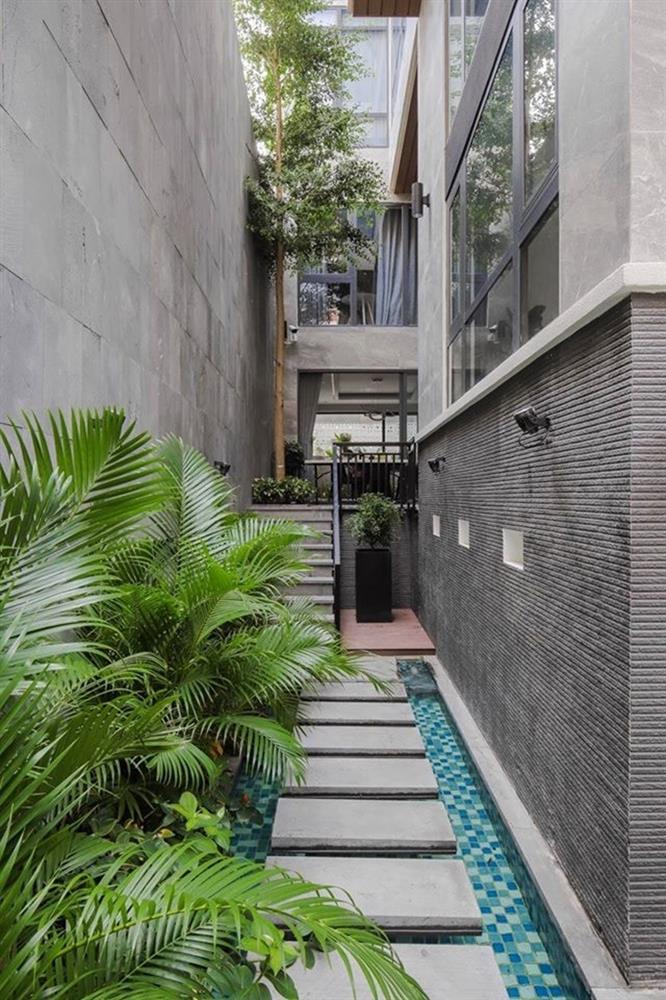 Vườn rau xanh mướt bên trong nhà phố của Lê Hoàng The Men-2