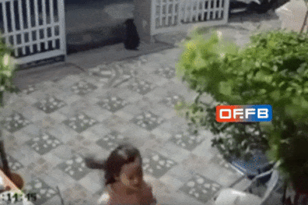 Chậu hoa rơi từ ban công xuống suýt trúng đầu 2 bé gái