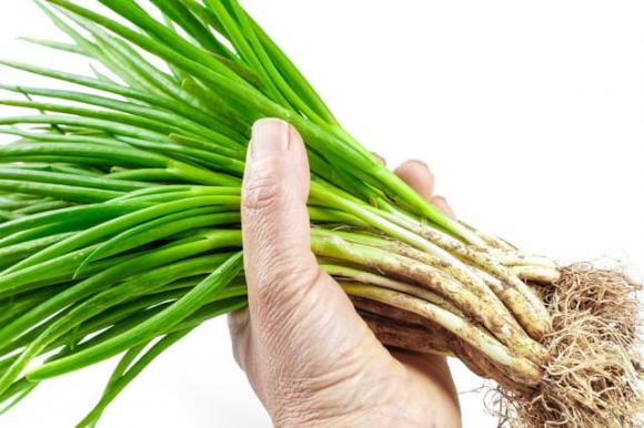 Bảo quản hành lá, tránh cho vào tủ lạnh trực tiếp, hãy nhớ hai mẹo này, để nửa năm hành vẫn tươi-1