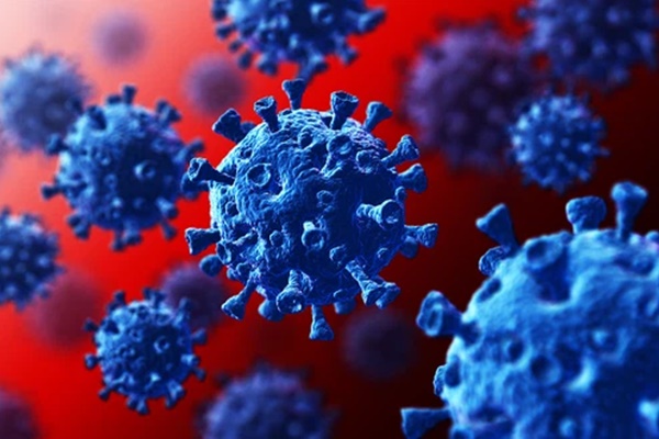 Chuyên gia Ý: SARS-CoV-2 khác với cúm, con người không thể cùng tồn tại với Covid-19-2