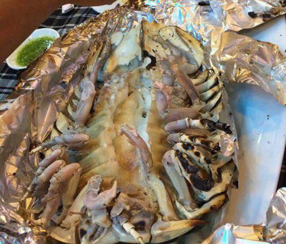 Hình dáng đáng sợ, xấu xí nhưng loài sinh vật biển này lại được hội nhà giàu săn đón vì ngon hơn cả tôm hùm-4