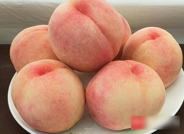 Đào cắm ống hút gần 1 triệu đồng/kg đang gây sốt có gì đặc biệt?-4