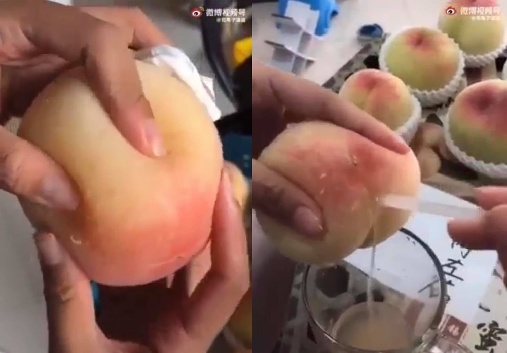 Đào cắm ống hút gần 1 triệu đồng/kg đang gây sốt có gì đặc biệt?-6