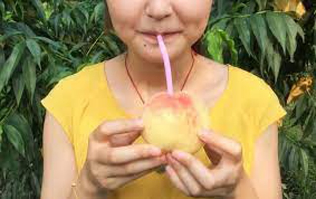 Đào cắm ống hút gần 1 triệu đồng/kg đang gây sốt có gì đặc biệt?-8