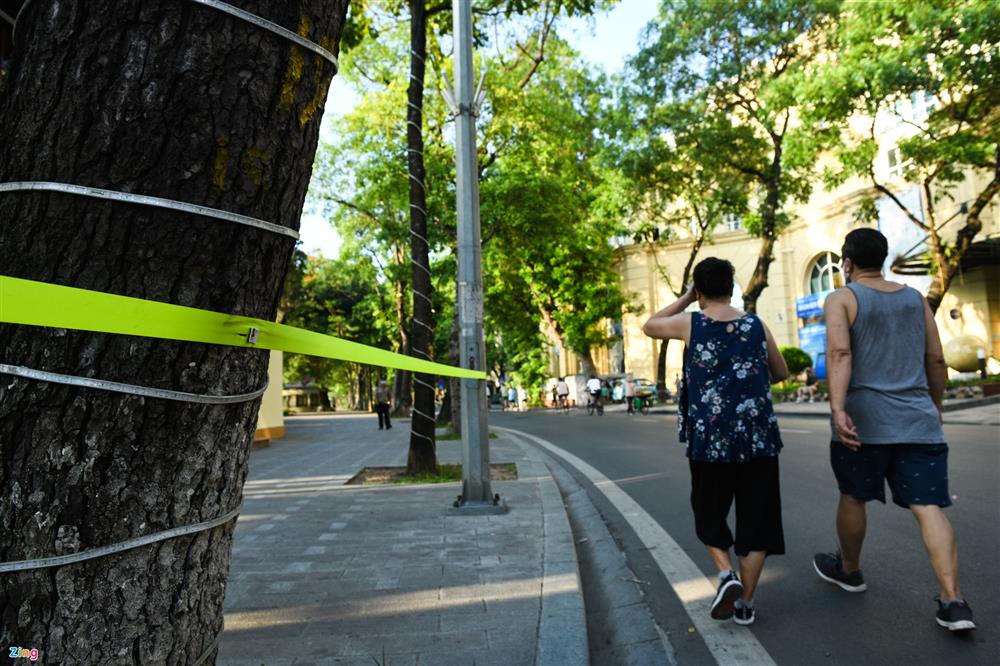 Hồ Tây, hồ Gươm đông người đạp xe, đi bộ-6