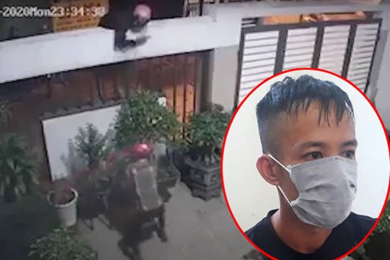 Giám đốc công ty chuyên trộm cây cảnh đắt tiền về trang trí trên dự án bất động sản để bán