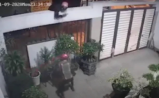 Giám đốc công ty chuyên trộm cây cảnh đắt tiền về trang trí trên dự án bất động sản để bán-1