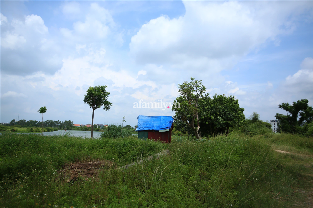 Vụ giết chủ nợ ở Hải Dương: Vợ chồng nghi phạm là người có học, thường xuyên qua lại gia đình nạn nhân với cái mác tử tế-3