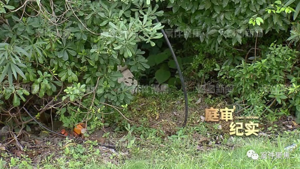 Người đàn ông đang đi bộ bỗng bay vút lên cao rồi chết trong bụi cây, vụ tai nạn gây hoang mang vì 2 sự trùng hợp khó tin-3