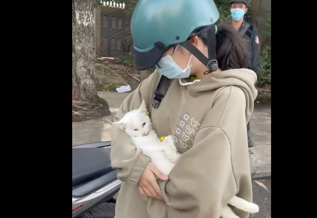 Nữ sinh bật khóc xin đưa mèo đi chữa bệnh nhưng bị người ở chốt kiểm dịch mỉa mai, bắt đóng phạt: Chú mèo đã chết, cán bộ trực chốt quay clip nói gì?-2