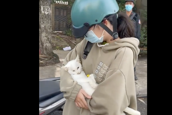 Vụ mèo qua đời vì chủ bị chặn ở chốt kiểm dịch: Giá như đừng quay clip rồi đăng lên mạng, mọi thứ sẽ dễ cảm thông hơn!-2