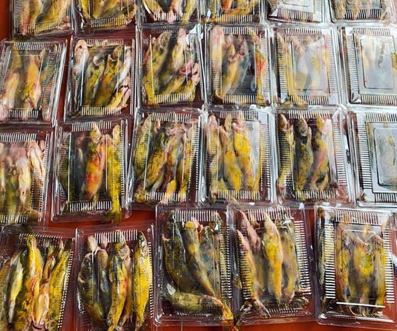 Của hiếm sông Đà: Loài cá vàng óng, muốn ăn phải đặt trước nửa năm-3