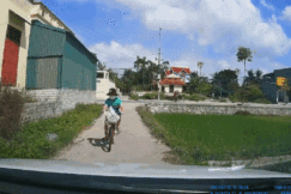 Bé trai đi xe đạp lao thẳng vào ô tô, hành động đẹp của tài xế gây chú ý