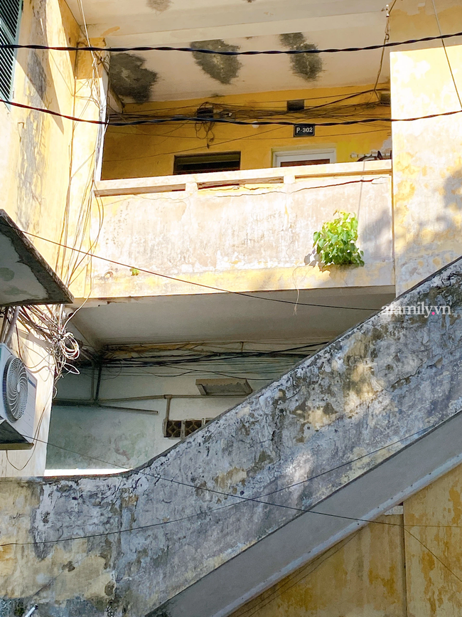 Vụ bác sĩ bị tố hiếp dâm nữ y tá ở Huế: 2 kết quả giám định thương tật không giống nhau, người mẹ cầu cứu Bộ Y tế-3