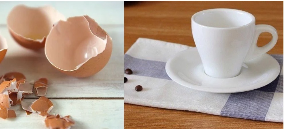 Tưởng vứt đi nhưng vỏ trứng lại mang tới những lợi ích không ngờ trong việc chăm sóc nhà cửa-1
