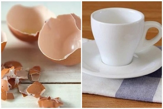 Tưởng vứt đi nhưng vỏ trứng lại mang tới những lợi ích không ngờ trong việc chăm sóc nhà cửa