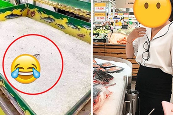 Chú cá cô đơn nhất trong siêu thị mùa dịch, ai nhìn qua cũng thương nhưng đành lắc đầu bỏ đi
