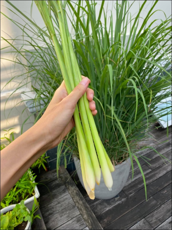 Ngày dịch rau xanh khan hiếm, khu vườn trong biệt thự triệu đô của Tăng Thanh Hà thật quý giá, đi một vòng có ngay bát canh ngon-7