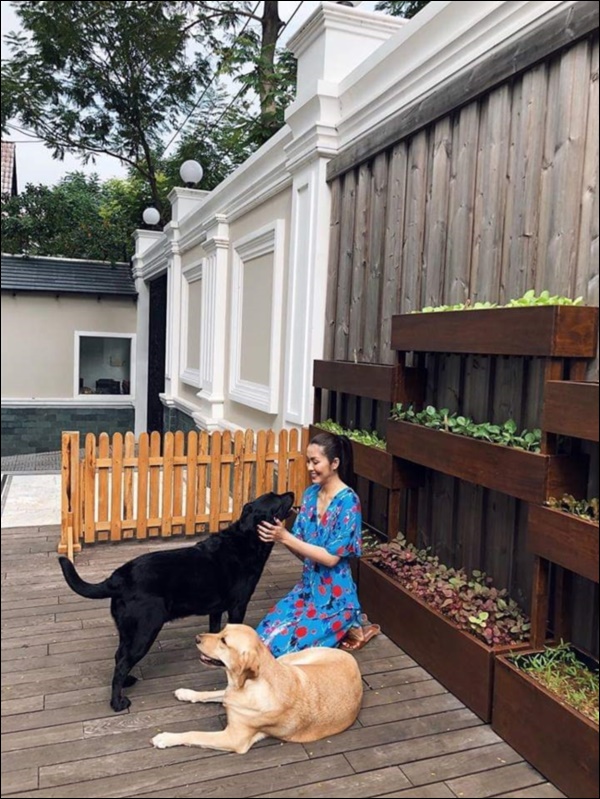 Ngày dịch rau xanh khan hiếm, khu vườn trong biệt thự triệu đô của Tăng Thanh Hà thật quý giá, đi một vòng có ngay bát canh ngon-12