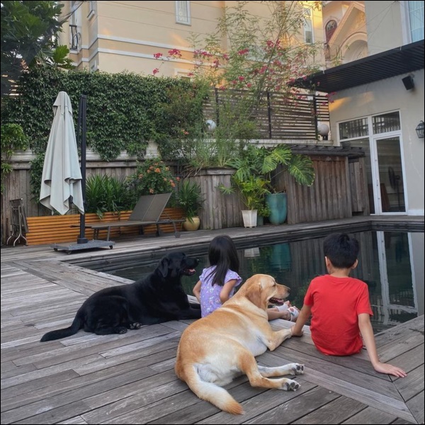 Ngày dịch rau xanh khan hiếm, khu vườn trong biệt thự triệu đô của Tăng Thanh Hà thật quý giá, đi một vòng có ngay bát canh ngon-11