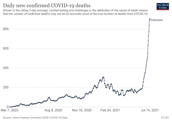 Vượt qua Ấn Độ, Indonesia trở thành tâm chấn đại dịch châu Á: 2 yếu tố khiến dịch bùng lên dữ dội-2