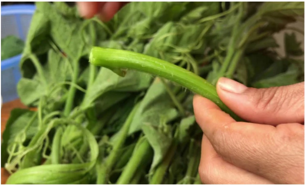 Mách bạn cách tước rau bí vừa non mềm vừa sạch lại nhanh hơn trông thấy-1