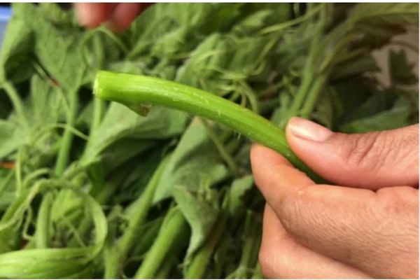 Sử dụng nồi inox không đúng cách sẽ khiến nồi bị giảm chất lượng và mất thẩm mỹ.-2