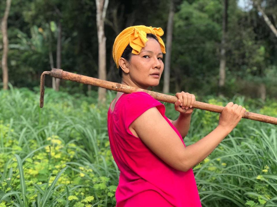 Theo chân Kiều Trinh thu hoạch vườn 11.000m2 với hàng chục loại rau, quả-4