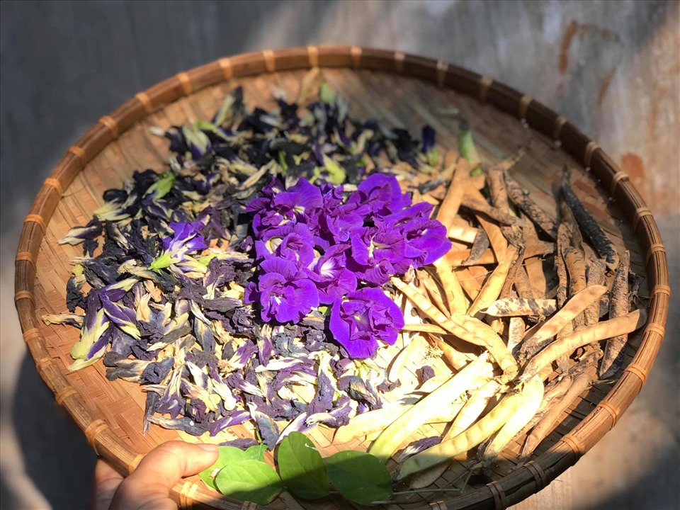 Theo chân Kiều Trinh thu hoạch vườn 11.000m2 với hàng chục loại rau, quả-12