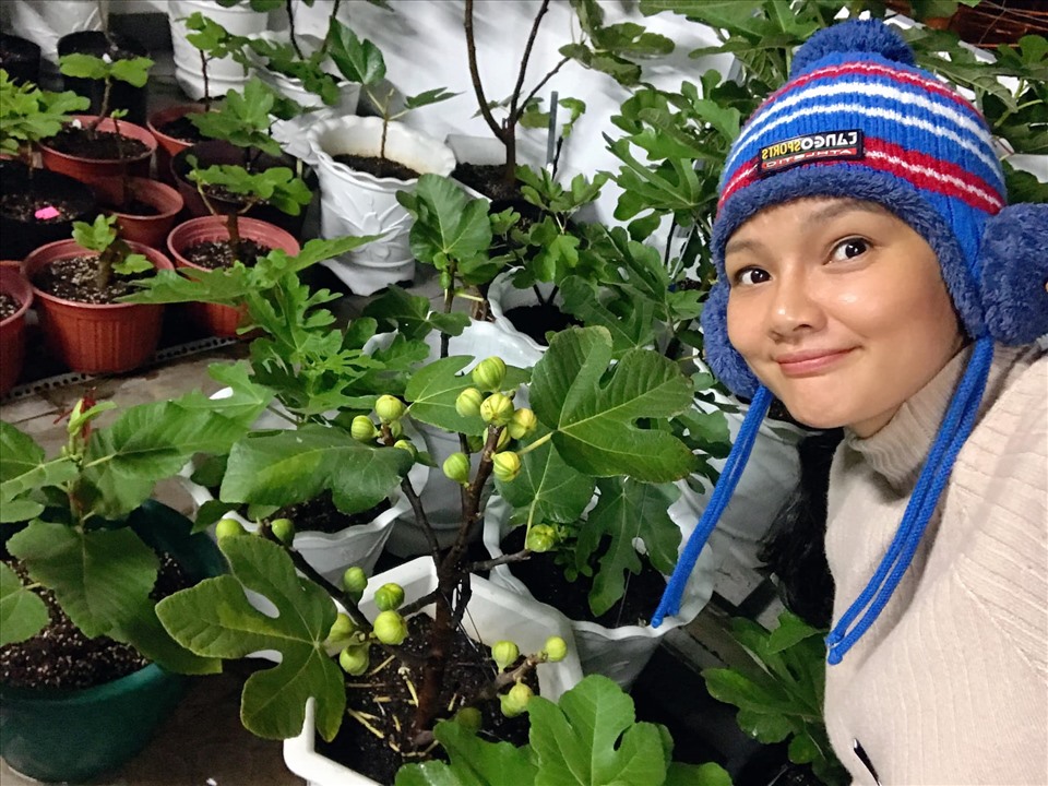 Theo chân Kiều Trinh thu hoạch vườn 11.000m2 với hàng chục loại rau, quả-15